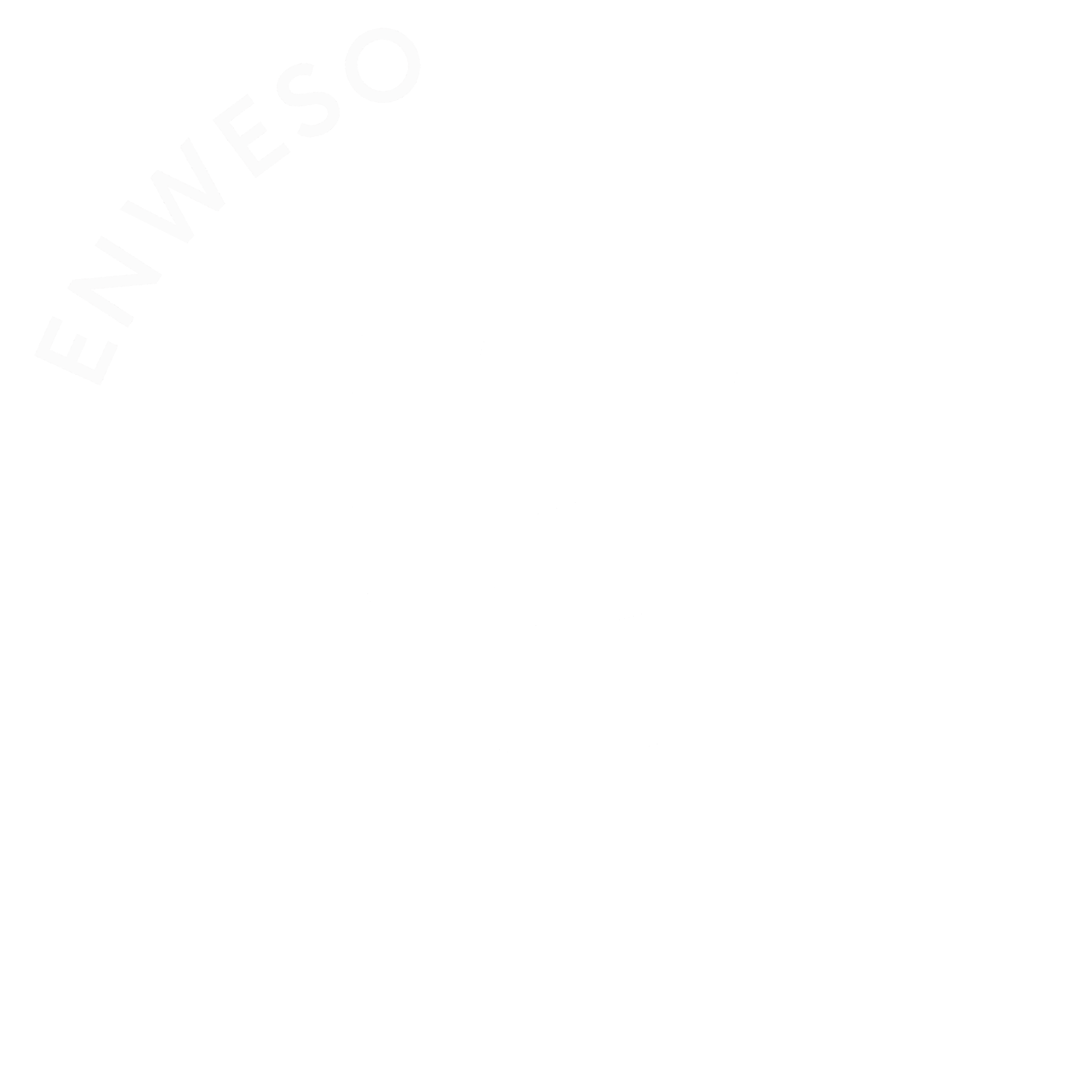 Logo_Enweso_White