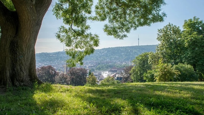 Natur in der Stadt